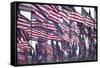 3000 US Flags for 9/11-Joseph Sohm-Framed Stretched Canvas