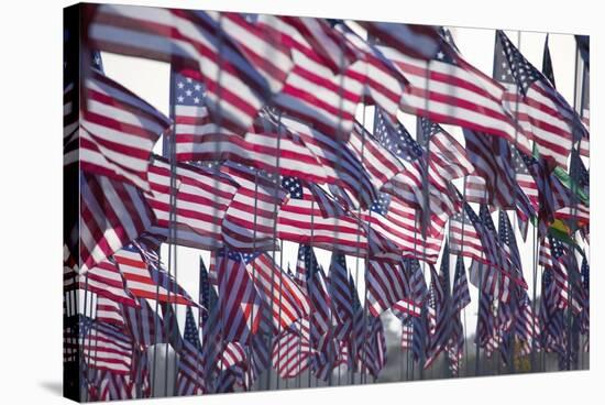 3000 US Flags for 9/11-Joseph Sohm-Stretched Canvas