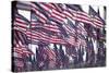 3000 US Flags for 9/11-Joseph Sohm-Stretched Canvas