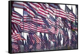 3000 US Flags for 9/11-Joseph Sohm-Framed Stretched Canvas
