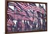 3000 US Flags for 9/11-Joseph Sohm-Framed Photographic Print