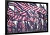 3000 US Flags for 9/11-Joseph Sohm-Framed Photographic Print