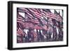 3000 US Flags for 9/11-Joseph Sohm-Framed Photographic Print