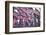 3000 US Flags for 9/11-Joseph Sohm-Framed Photographic Print