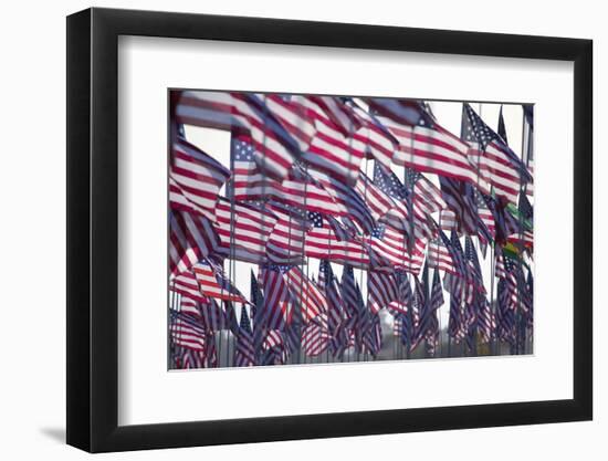 3000 US Flags for 9/11-Joseph Sohm-Framed Photographic Print