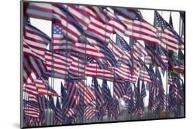 3000 US Flags for 9/11-Joseph Sohm-Mounted Photographic Print