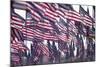 3000 US Flags for 9/11-Joseph Sohm-Mounted Photographic Print