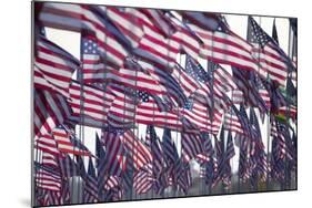 3000 US Flags for 9/11-Joseph Sohm-Mounted Photographic Print