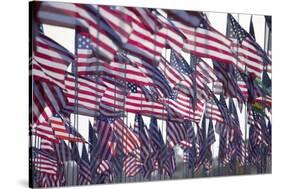 3000 US Flags for 9/11-Joseph Sohm-Stretched Canvas