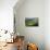300-Marcin Sobas-Photographic Print displayed on a wall