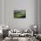 300-Marcin Sobas-Framed Stretched Canvas displayed on a wall