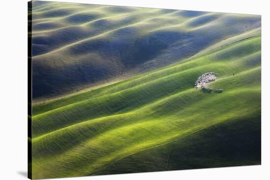 300-Marcin Sobas-Stretched Canvas