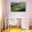 300-Marcin Sobas-Photographic Print displayed on a wall