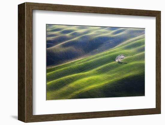 300-Marcin Sobas-Framed Photographic Print