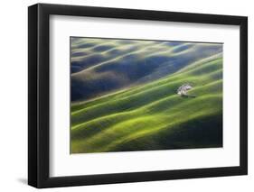 300-Marcin Sobas-Framed Photographic Print