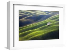 300-Marcin Sobas-Framed Photographic Print