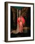 #309-spacerocket art-Framed Giclee Print