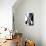 30CO-Pierre Henri Matisse-Giclee Print displayed on a wall