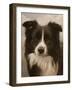 332-John Silver-Framed Giclee Print