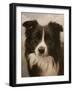 332-John Silver-Framed Giclee Print