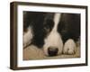 333-John Silver-Framed Giclee Print