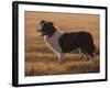 334-John Silver-Framed Giclee Print