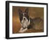 335-John Silver-Framed Giclee Print