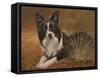 335-John Silver-Framed Stretched Canvas