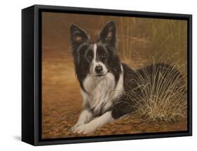 335-John Silver-Framed Stretched Canvas