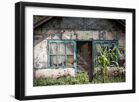 336-Dan Ballard-Framed Photographic Print