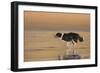 336-John Silver-Framed Giclee Print