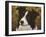 338-John Silver-Framed Art Print