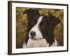 338-John Silver-Framed Giclee Print