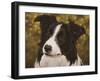 338-John Silver-Framed Giclee Print