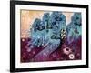 33-Natasha Wescoat-Framed Premium Giclee Print