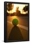 Essential Black