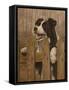 341-John Silver-Framed Stretched Canvas