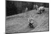 347 cc Ariel of F Gooding competing in the MCC Edinburgh Trial, Roxburghshire, Scotland, 1938-Bill Brunell-Mounted Photographic Print