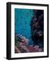 #350-spacerocket art-Framed Photographic Print