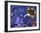 35CO-Pierre Henri Matisse-Framed Giclee Print