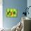 38CO-Pierre Henri Matisse-Giclee Print displayed on a wall