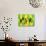 38CO-Pierre Henri Matisse-Giclee Print displayed on a wall