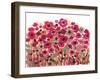 3-Natasha Wescoat-Framed Giclee Print