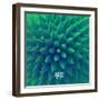 3D Abstract Background. Vector Illustration.-Login-Framed Art Print