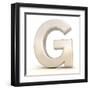 3D Alphabet, Letter G Isolated On White Background-Andriy Zholudyev-Framed Art Print