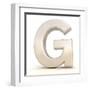 3D Alphabet, Letter G Isolated On White Background-Andriy Zholudyev-Framed Art Print