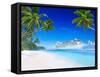 3D Cruise Ship by Tropical Beach-Rawpixel-Framed Stretched Canvas