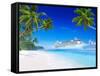 3D Cruise Ship by Tropical Beach-Rawpixel-Framed Stretched Canvas