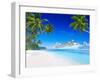 3D Cruise Ship by Tropical Beach-Rawpixel-Framed Photographic Print