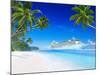 3D Cruise Ship by Tropical Beach-Rawpixel-Mounted Photographic Print